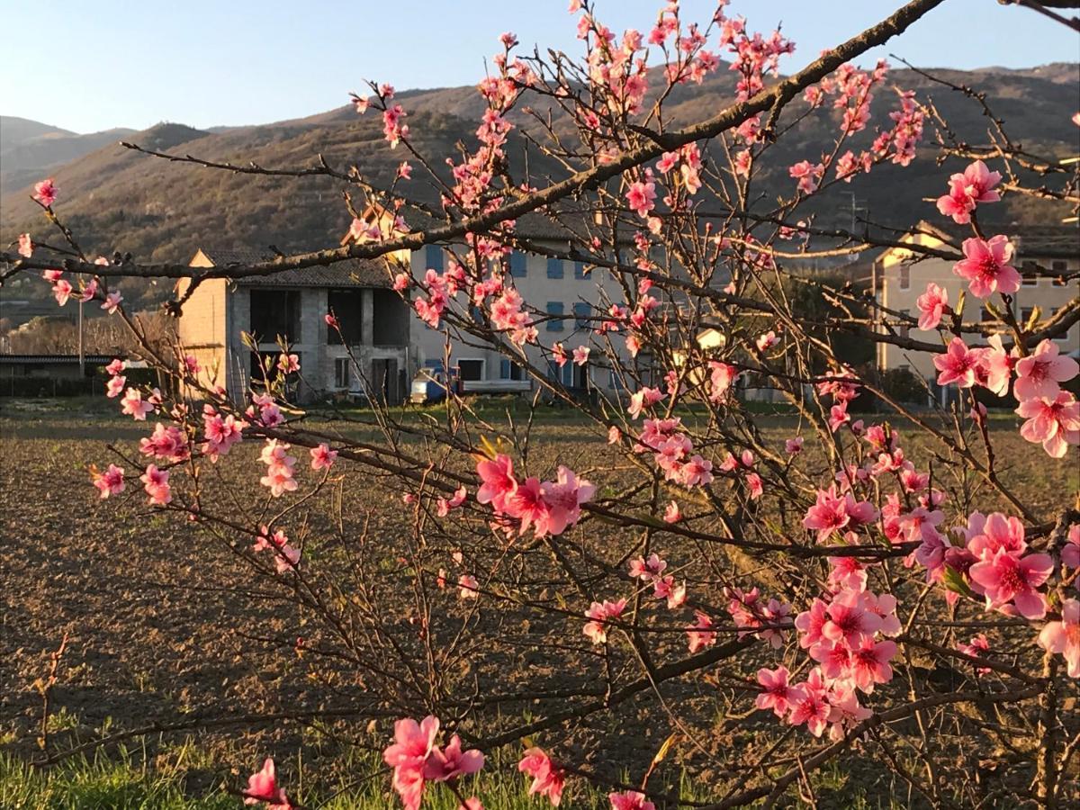 B&B Carlonga 카네바 외부 사진